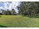 A large back yard with mature trees and a utility building in the back at 5460 Millbrook Way, Palm Harbor, FL 34685