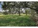 Expansive backyard featuring lush green grass and mature trees providing shade and privacy at 5460 Millbrook Way, Palm Harbor, FL 34685
