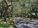 Tree-lined street with road extending into the distance at 5460 Millbrook Way, Palm Harbor, FL 34685