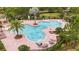 Overhead view of the community pool, featuring lush landscaping, mature palms, and plenty of lounge seating at 935 Terra Vista St, Brandon, FL 33511