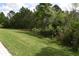 Backyard with green grass and trees with privacy and landscaping around the border at 10118 Cleghorn Dr, San Antonio, FL 33576