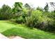 Lush green backyard with well maintained lawn, garden, and dense foliage at 10118 Cleghorn Dr, San Antonio, FL 33576