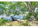 Peaceful view of the lake with a wooden dock and chair under the shade of a large tree at 13329 N Armenia Ave, Tampa, FL 33613