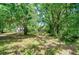 Large, treed lot boasts mature trees, lush vegetation and a serene ambiance to build your dream home at 13329 N Armenia Ave, Tampa, FL 33613