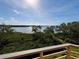 Scenic water view with lush green trees from a private balcony at 1720 Lighthouse S Ter # 8, South Pasadena, FL 33707