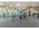 Well-equipped gym area featuring state-of-the-art exercise equipment and large windows for natural light at 3822 Balcony Breeze Dr, Land O Lakes, FL 34638