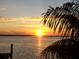 A beautiful sunset over the water, framed by palm trees, creates a serene and tropical ambiance at 571 Johns Pass Ave, Madeira Beach, FL 33708