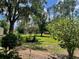 Spacious backyard featuring a stone water feature and lush landscaping and mature trees at 5905 Caroline Dr, Wesley Chapel, FL 33545