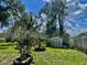 Backyard with green grass, trees, and a shed; framed by vibrant sky at 5905 Caroline Dr, Wesley Chapel, FL 33545