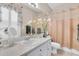 Cozy bathroom featuring a vanity, toilet, bathtub with shower, and decorative details at 12304 Freesia Ct, Riverview, FL 33569
