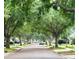The street is lined with lush trees that canopy over the roadway at 12304 Freesia Ct, Riverview, FL 33569