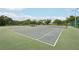 Well-maintained community tennis courts with green surfaces, surrounded by fencing and mature trees at 12402 Fairlawn Dr, Riverview, FL 33579