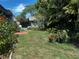 Lush backyard with shed featuring a mural and swing surrounded by vibrant plants and flowers at 1345 S Evergreen Ave, Clearwater, FL 33756