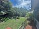 Lush backyard with tropical landscaping, green grass, and beautiful blue skies overhead at 1345 S Evergreen Ave, Clearwater, FL 33756