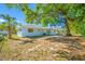 Backyard with mature tree, providing ample shade over the expansive outdoor space at 1431 Kings Hwy, Clearwater, FL 33755