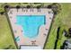 Aerial view of the pool with sun loungers, surrounded by green spaces and palm trees at 18860 Beautyberry Ct, Lutz, FL 33558