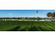 Scenic backyard with lush green grass, waterfront access with a dock, and mature palm trees at 19111 Vista Bay Dr # 304, Indian Shores, FL 33785