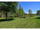 A tree swing adds to the charm of this verdant and expansive back yard at 21627 Pearl Crescent Ct, Land O Lakes, FL 34637