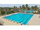 Large community swimming pool with lap lanes, beach entry, and splash park surrounded by palm trees at 21627 Pearl Crescent Ct, Land O Lakes, FL 34637