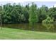 Expansive backyard with mature trees and a pond for enjoying nature at 337 Woodlake Wynde, Oldsmar, FL 34677