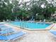 Enjoy poolside lounging with ample seating and lush greenery at 337 Woodlake Wynde, Oldsmar, FL 34677
