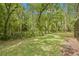 Large, private backyard with lush greenery and mature trees, creating a peaceful and natural setting at 3810 Darston St, Palm Harbor, FL 34685