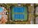 Aerial view of community tennis courts surrounded by lush landscaping and pool area at 7740 Blue Spring Dr, Land O Lakes, FL 34637