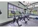 Contemporary fitness center with stationary bikes and scenic window views at 7740 Blue Spring Dr, Land O Lakes, FL 34637