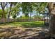Large backyard featuring mature trees, a wooden fence, and potential for customization at 14013 Briardale Ln, Tampa, FL 33618