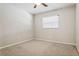 Cozy bedroom featuring a ceiling fan, plush carpeting, and a sunlit window at 14013 Briardale Ln, Tampa, FL 33618