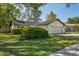Charming single-story home featuring a well-maintained lawn and mature trees at 14013 Briardale Ln, Tampa, FL 33618