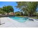 Backyard pool area featuring inviting blue water, lush greenery, and ample space for relaxation at 1842 Nebraska Ne Ave, St Petersburg, FL 33703