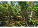 Scenic landscape view featuring abundant trees and green space at 21 Pelican Pl, Belleair, FL 33756