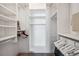 Walk-in closet with custom shelving, offering ample storage and organization at 2216 El De Oro Dr, Clearwater, FL 33764