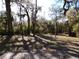 Image showing the yard with mature trees and a canopy of shade at 4405 Coconut Cove Pl, Valrico, FL 33596