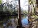 Water view from the property showcasing a calm river with lush green banks at 4405 Coconut Cove Pl, Valrico, FL 33596
