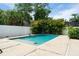 Refreshing pool with sleek design, surrounded by lush tropical foliage, perfect for relaxation at 7608 Antilla St, Tampa, FL 33625