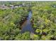 Aerial view of a tranquil river surrounded by a lush green forest at 13310 Waterford Run Dr, Riverview, FL 33569