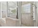 Shower with bright lighting from a glass block window and elegant hardware at 13310 Waterford Run Dr, Riverview, FL 33569
