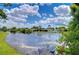 Picturesque pond view from the backyard of this residence at 14119 Stonegate Dr, Tampa, FL 33624