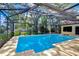 A sparkling pool with a screened enclosure provides a private oasis at 14119 Stonegate Dr, Tampa, FL 33624