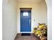Inviting front door with sidelight and stylish hardware, complemented by a lush potted plant at 17228 Holly Well Ave, Wimauma, FL 33598