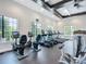 Well-equipped gym featuring treadmills, elliptical machines, and scenic windows at 17228 Holly Well Ave, Wimauma, FL 33598