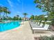 Resort-style pool with numerous lounge chairs and beautifully landscaped grounds with many palm trees at 17228 Holly Well Ave, Wimauma, FL 33598