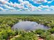 Beautiful aerial view featuring a placid lake and verdant foliage under a partly cloudy sky at 17301 Estes Rd, Lutz, FL 33548