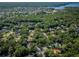 Aerial view showing a neighborhood nestled among mature trees, with glimpses of rooftops and community features at 20 Willowwood Ln, Oldsmar, FL 34677