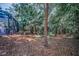 Spacious backyard with a scattering of fallen leaves and mature trees next to screened in patio area at 20 Willowwood Ln, Oldsmar, FL 34677