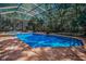 Beautiful screened-in pool area with a hot tub and brick pavers in a lush, green backyard setting at 20 Willowwood Ln, Oldsmar, FL 34677
