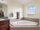 Bathroom featuring a bathtub with granite tile, modern lighting, and a sunlit window at 21046 Passive Porch Dr, Land O Lakes, FL 34637
