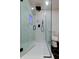 Modern bathroom features a glass-enclosed shower with a sleek black showerhead and contrasting white and black tiling at 2488 Del Rio Way, Dunedin, FL 34698